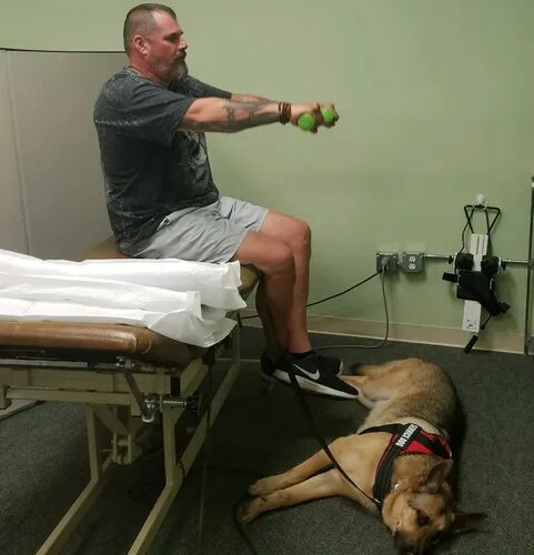 Vets Service Dogs NFP