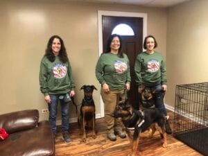 Three women and three dogs posing indoors in matching green sweaters.