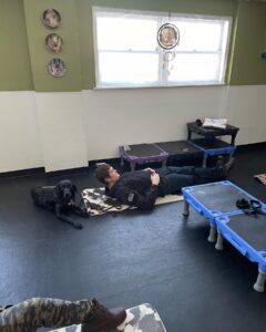 Person doing floor exercises in a gym setting.