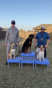 Two men with three dogs posing on elevated platforms in a backyard.